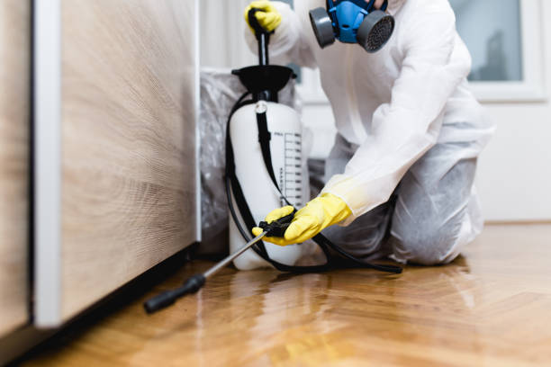 Best Rat Extermination Near Me  in Potterville, MI