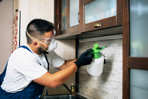 Best Pest Control Near Me  in Potterville, MI