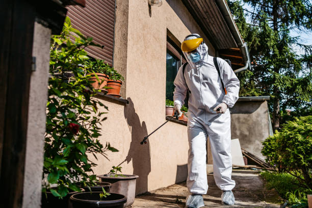 Best Pest Inspection Near Me  in Potterville, MI