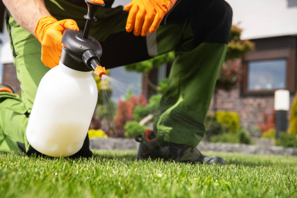 Best Ant Control Services  in Potterville, MI