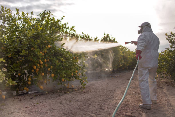 Best Best Pest Control Companies  in Potterville, MI