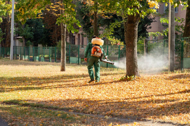 Best Wasp Removal Services  in Potterville, MI