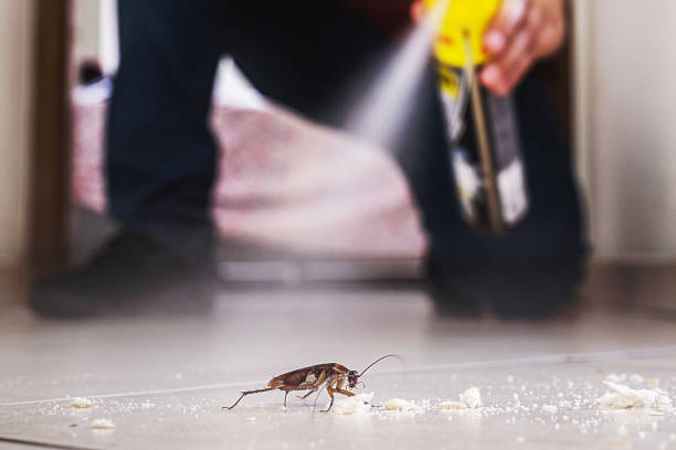 Best Bed Bug Extermination  in Potterville, MI