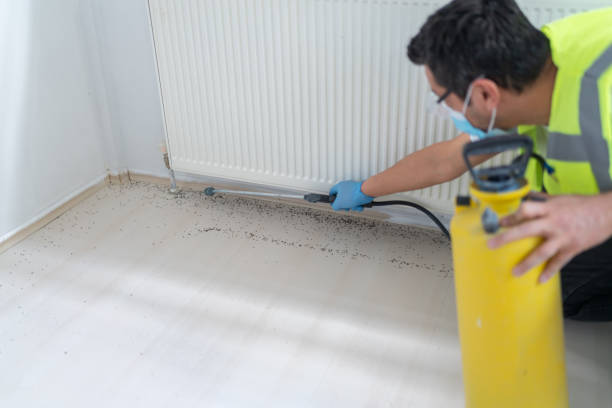 Best Affordable Pest Control Services  in Potterville, MI