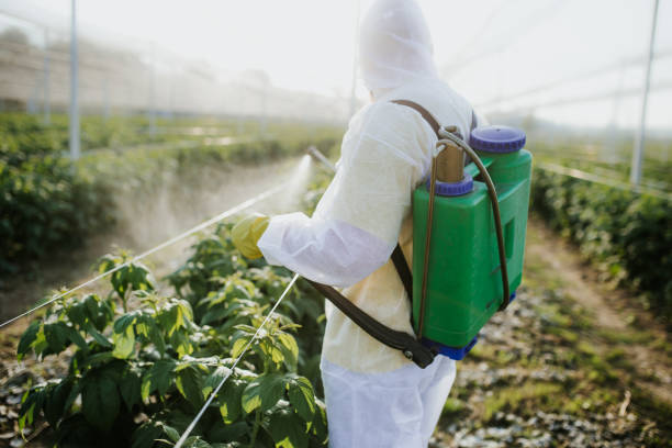 Best Residential Pest Control  in Potterville, MI